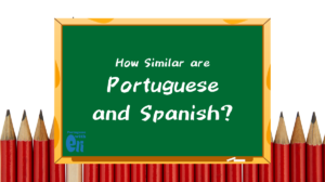 How Similar are Portuguese and Spanish_blackboard