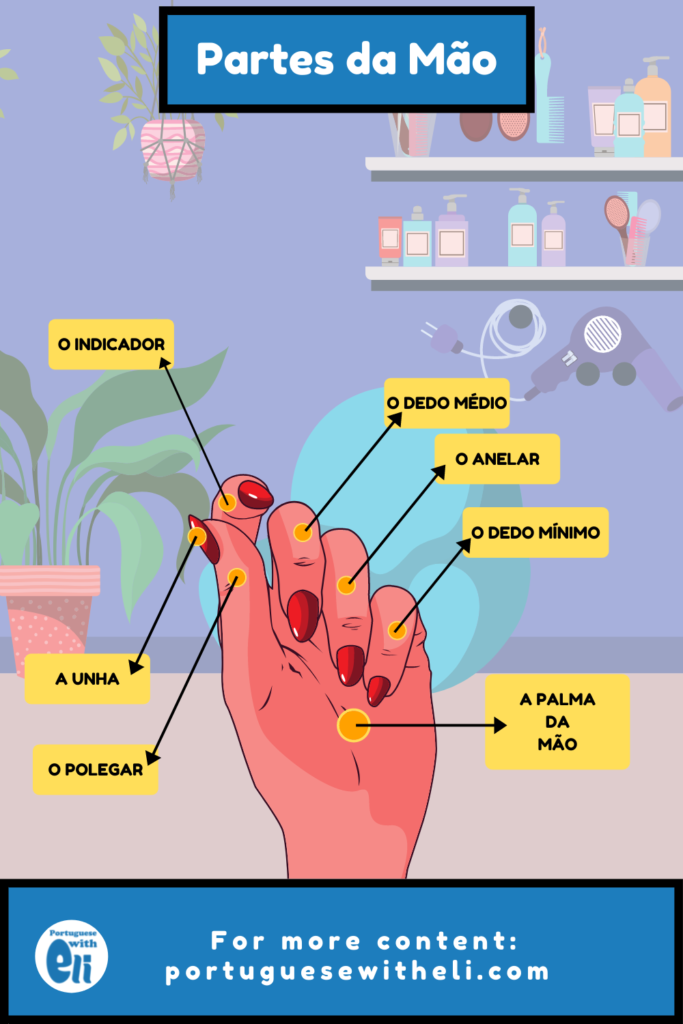 hand parts in portuguese