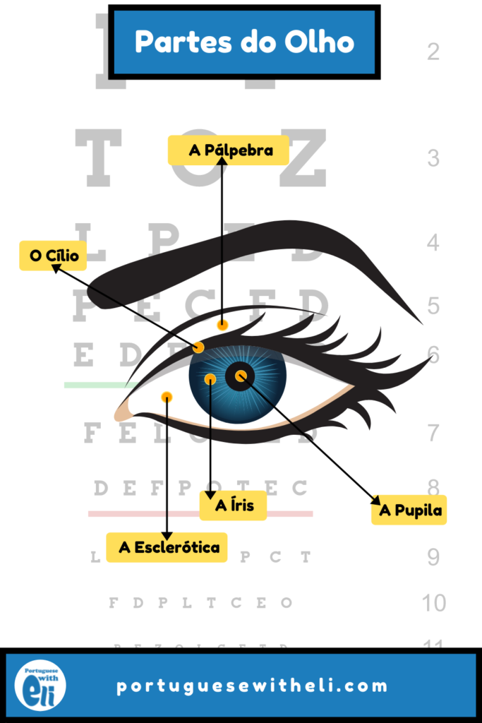 What is the meaning of tits ? - Question about Portuguese